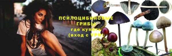 прущие крисы Каменск-Шахтинский