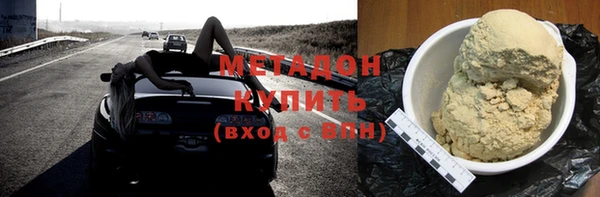 индика Каменногорск