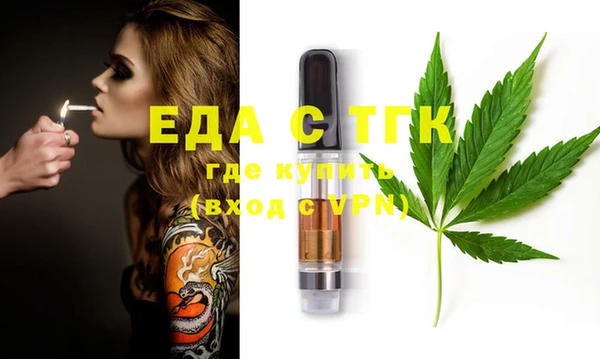 индика Каменногорск
