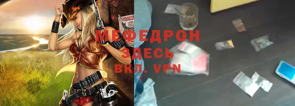 индика Каменногорск