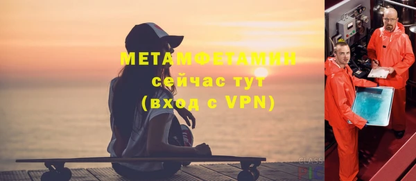 индика Каменногорск