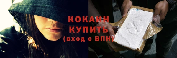 индика Каменногорск