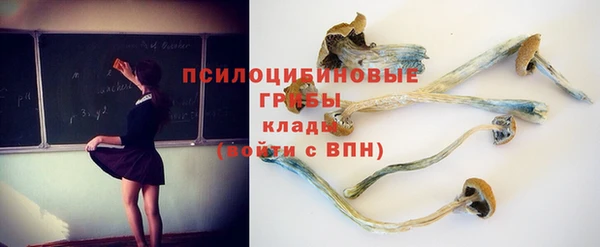 спиды Карталы