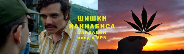 индика Каменногорск