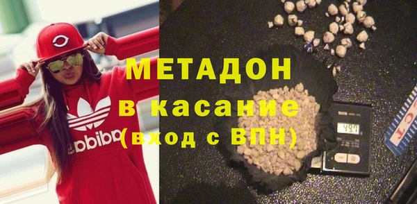 индика Каменногорск