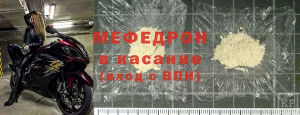 индика Каменногорск