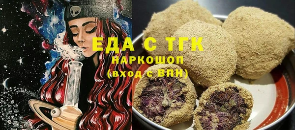 индика Каменногорск