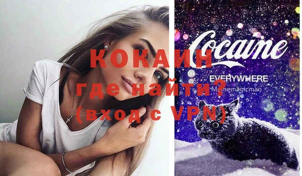 СК Каменка