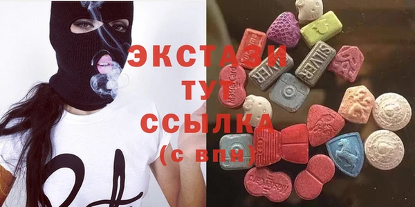 индика Каменногорск