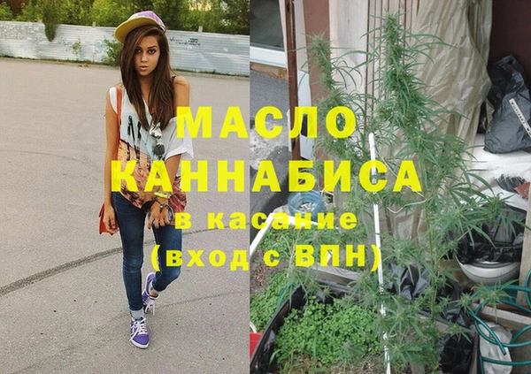 индика Каменногорск