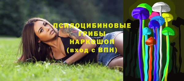 индика Каменногорск