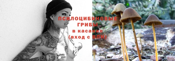 СК Каменка