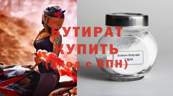 индика Каменногорск