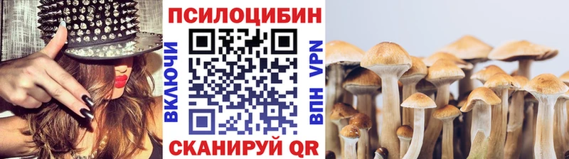 Галлюциногенные грибы Cubensis  Купить где  Ивантеевка 